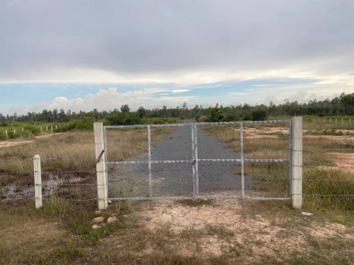 ដីលក់ ប្លង់រឹ (ទទឹង 50ម៉ែត្រ x បណ្តោយ 200ម៉ែត្រ )៖  (ហួសផ្សារបាតដឹងបន្តិច) ខេត្តកំពង់ស្ពឺ