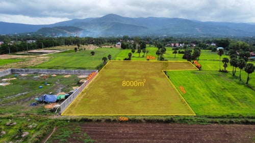 ដី​ក្រុង​កំពត​