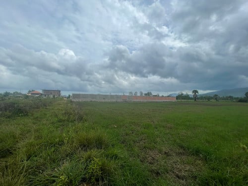 ដី​ក្រុង​កំពត​