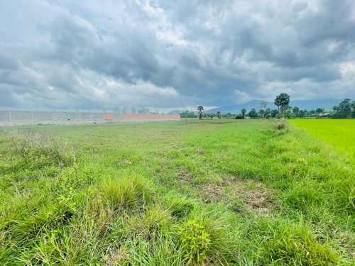 ដី​ក្រុង​កំពត​