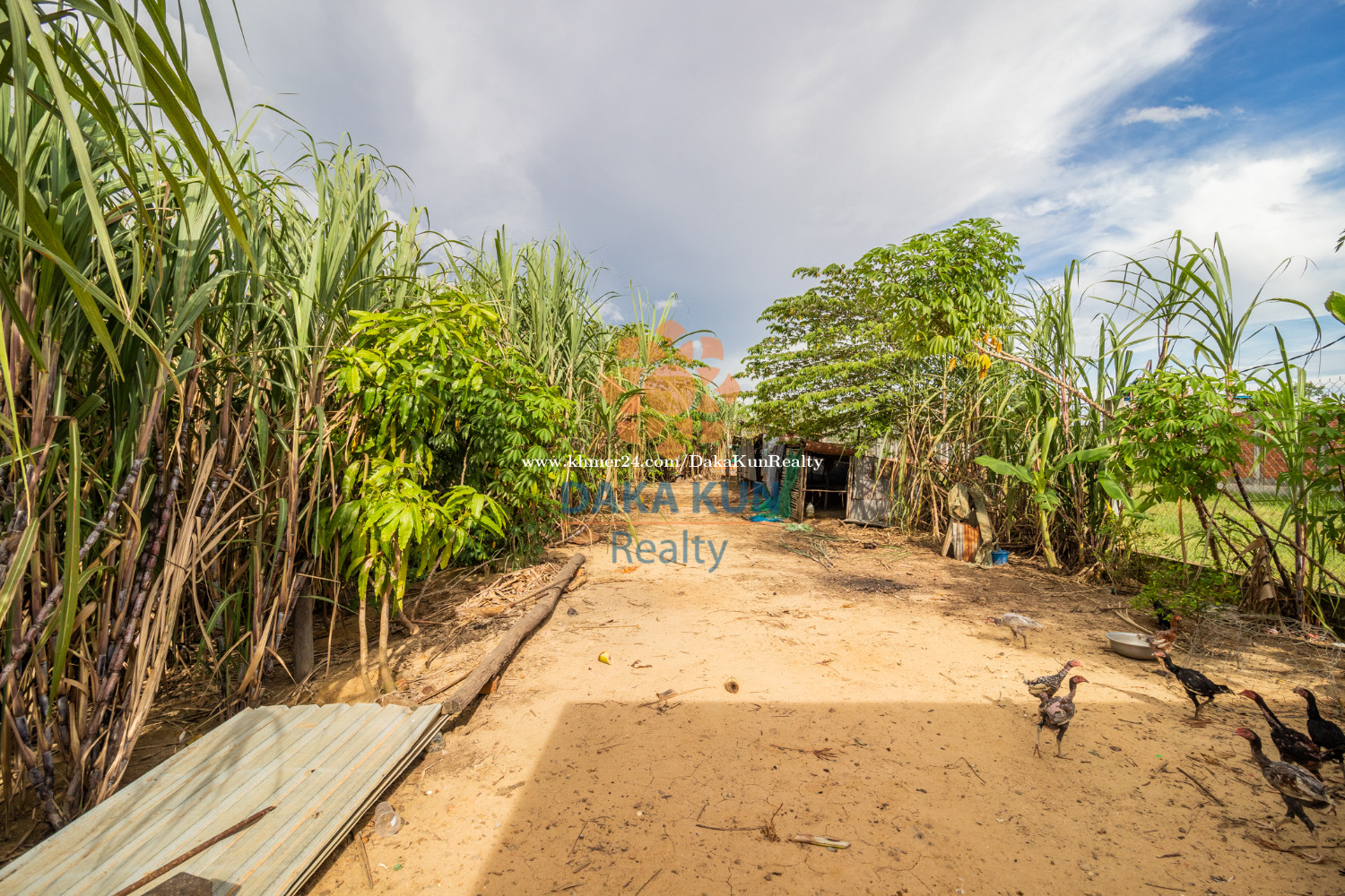 ដីលក់នៅភូមិពោធិ៍ក្រោមសៀមរាប/Land for Sale in Siem Reap តំលៃ 90.00