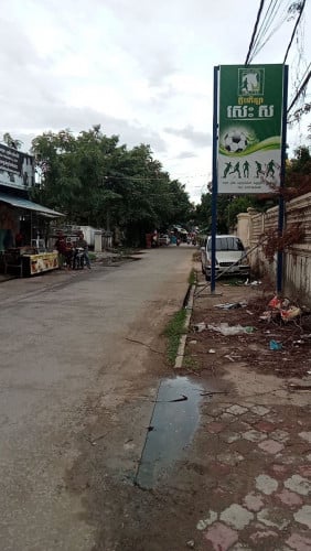 ដីតារាងបាល់លក់