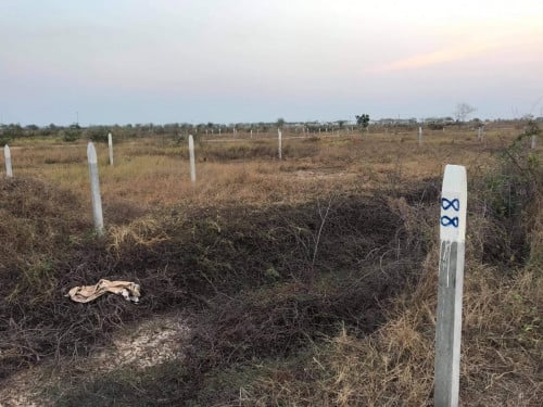 ដីលក់បន្នាន់ ទំហំ 25 x 20 (ម្ចាស់ផ្ទាល់)ប្រញាប់លុយ