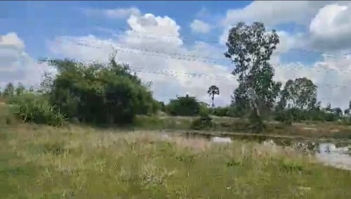 ដីលក់ ១១ហិកតា (ជិតភ្នំតាម៉ៅ)