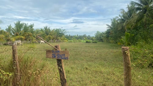 ប្រភេទដីភូមិសង់ផ្ទះរឺវីឡាបានយ៉ាងស្រស់ស្អាត