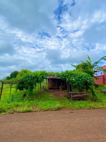 ដីលក់ នៅមណ្ឌលគិរីជាប់និងផ្លូវចូលទៅរម្មណីយដ្ឋានទឹកជ្រោះប៊ូស្រា