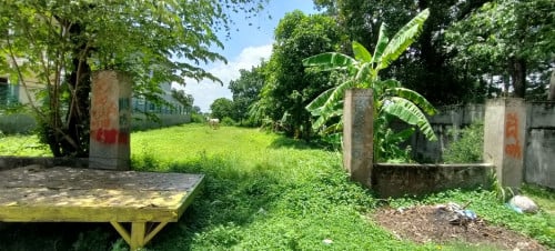 ដីលក់បន្ទាន់ ជារបងសាលាបឋម សិក្សាស្វាយជ្រុំ