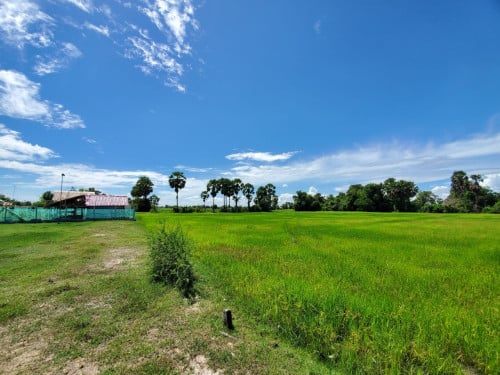 ដីសម្រាប់លក់​​ (ជិតផ្លូវជាតិលេខ2) លក់បន្ទាន់ ប្លង់រឹង