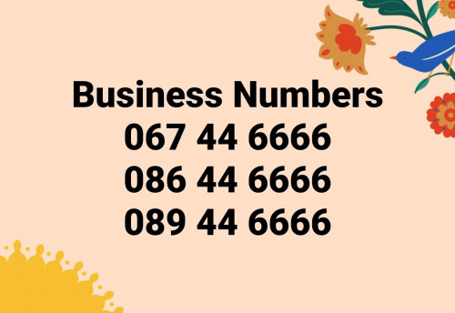 Business Numbers ( 067-086-089 ) 44 6666