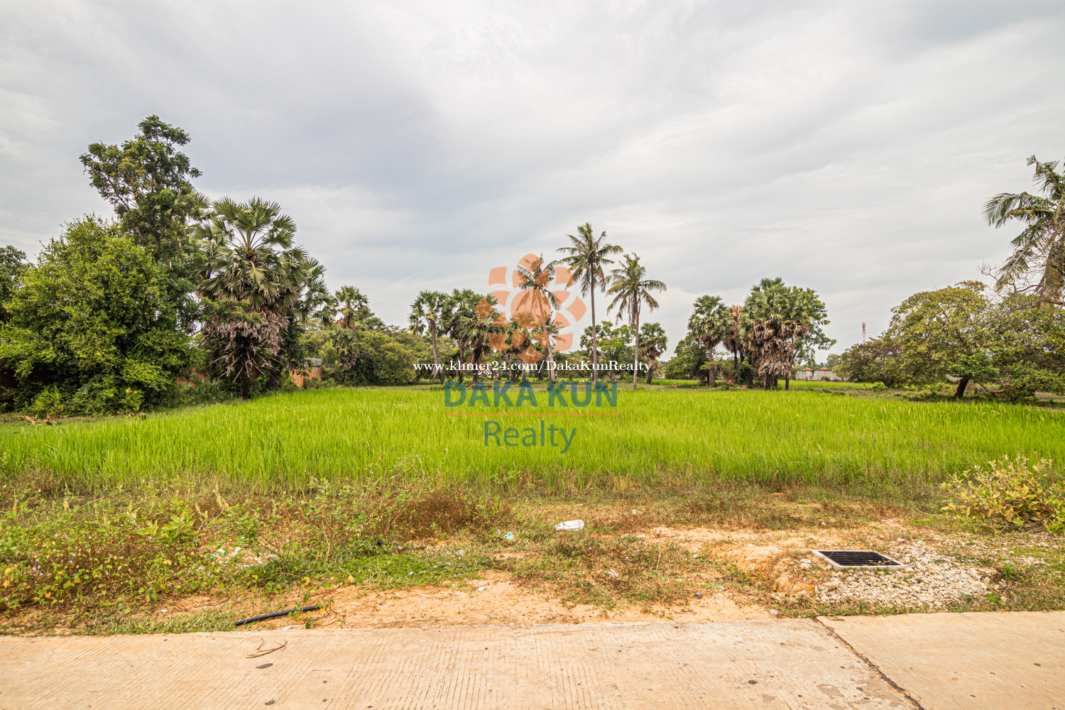 ដីលក់នៅក្រោយភូមិវប្បធម៌, ក្រុងសៀមរាប/Land for Sale Behind Cultural