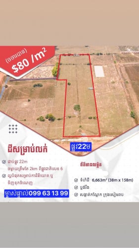 ដីសម្រាប់លក់ ម្ចាស់ផ្ទាល់