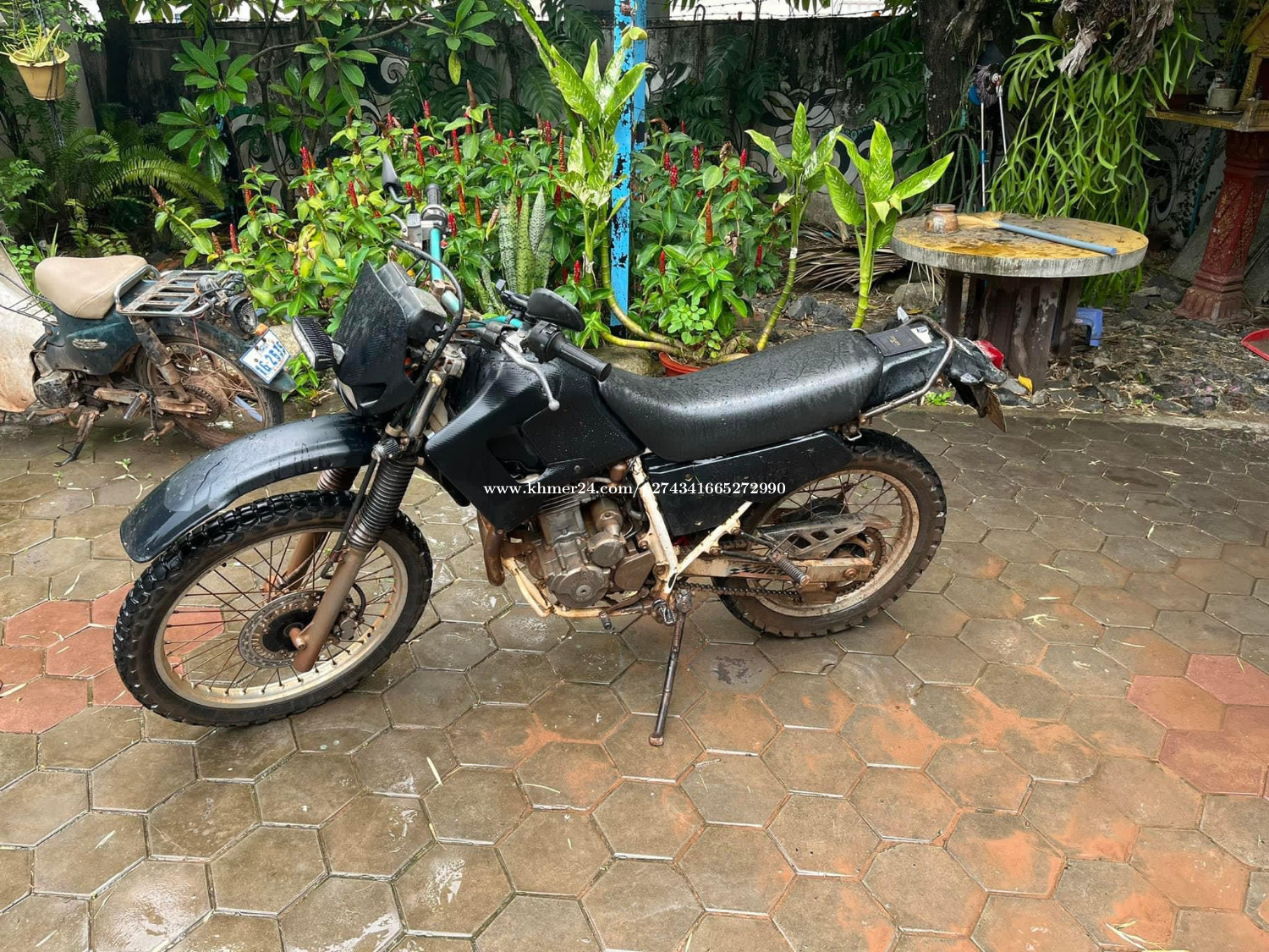 Honda degree 250