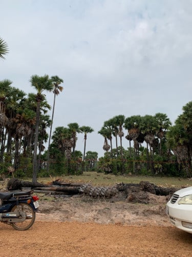 ប្រភេទដីភូមិ លក់ប្រញាប់​​ 12,000 USD