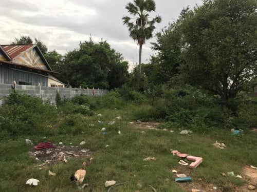 ដីលក់បន្ទាន់ (ម្ចាស់ផ្ទាល់)