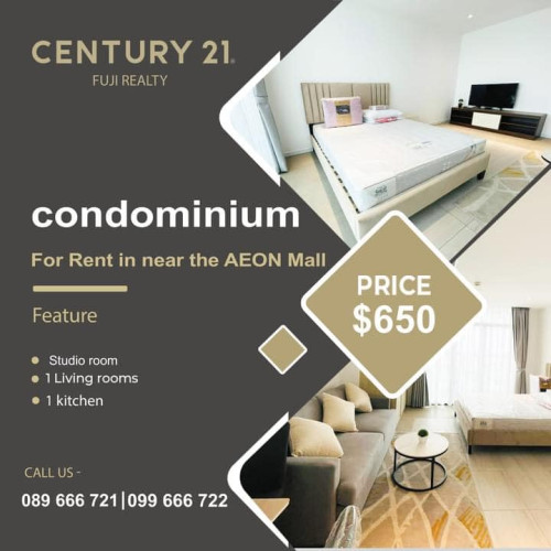 Convenience daily life The Penthouse Condominium for Rent