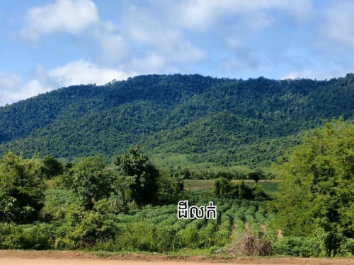 ដីលក់នៅក្នុងក្រុងប៉ៃលិន ទទឹង25m បណ្តោយ 70m ដីម្ចាស់ផ្ទាល់។