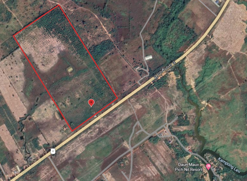 ដីលក់បន្ទាន់ 32 ហិកតា 20$/m2 ជាប់ផ្លូវជាតិលេខ4 កំពង់សិលា