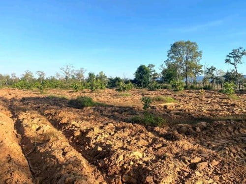 នៅខេត្តព្រះវិហារ លក់ បន្ទាន់ ជិត រង្វង់មូលស្រអែម តម្លៃ មួយហាត់ 5000 ចរចាបាន។