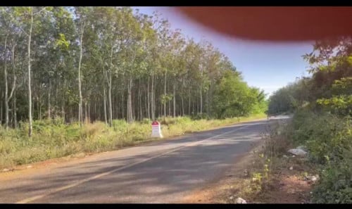 លក់ដី រាជធានី/ខេត្ត : មណូលគីរី  ក្រុង/ស្រុក/ខណៈ ពេជ្រាដា  ឃុំ/សង្កាត់ : ប៊ូស្រា  ភូមិ : ពូលុ