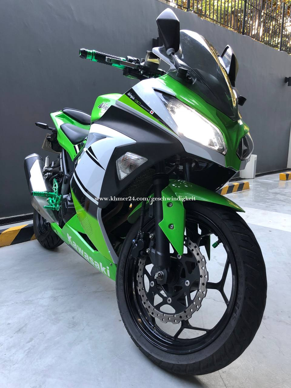 Kawasaki Ninja250 Special Edition 30th anniversary - カワサキ