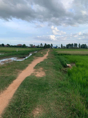 ដីលក់