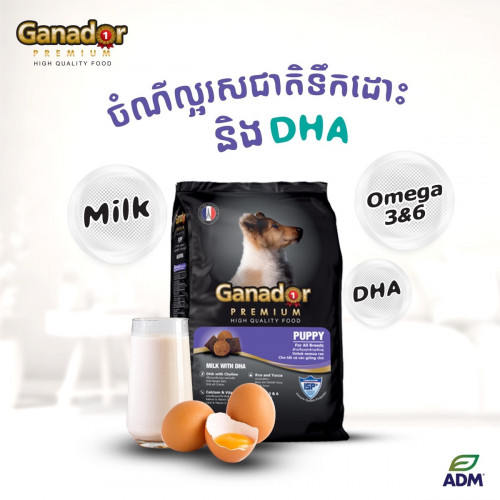 Ganador premium milk with DHA