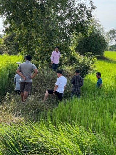 រោងចក្រជុំវិញដីលក់ជាប់ផ្លូវ30ឞចុះពីផ្លូវ51 មួយគីឡូម៉ែត រដ្ឋកំពង់ចាក់ប៉េតុង