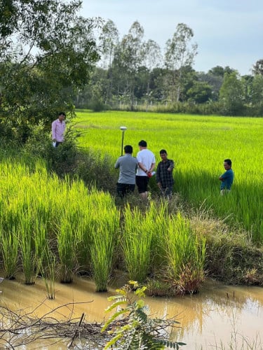 រោងចក្រជុំវិញដីលក់ជាប់ផ្លូវ30ឞចុះពីផ្លូវ51 មួយគីឡូម៉ែត រដ្ឋកំពង់ចាក់ប៉េតុង