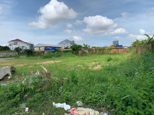 Land for Rent located in PP Thmei, ដីសម្រាប់ជួល ដីកែង500មពីផ្សារក្រមួន,Property Code: VBRE00893