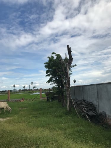 ដីផ្លង់រឹងនឹងផ្លង់ផ្ទះវិឡាផ្លូវរដ្ធគម្រោង១២ម៉ែត្រក្បាលដី16.80បណ្តោយ៥១ម៉ែត្រមា ទឹកនឹងភ្លើង