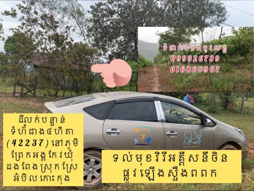 ដី​លក់​បន្ទាន់​