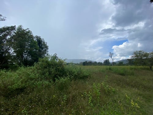 3 hectare of land for sell