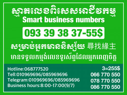 Smart Special number for the business