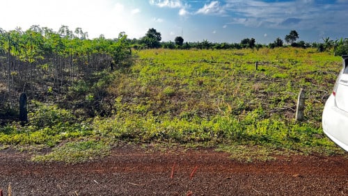 ដី​លក់​ទីតាំង​ល្អ​តម្លៃ​ល្អ​ ស្ថិត​នៅ​ក្នុង​ទី​រួម​ខេត្ត​ត្បូងឃ្មុំ​