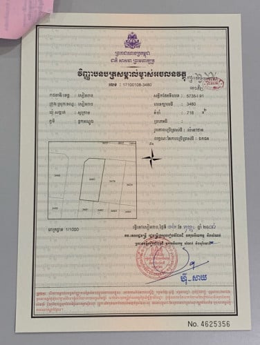 ដីលក់2ប្លង់ជាប់គ្នា កែងផ្លូវ 15m ធ្វើរបង ចាក់ដីហើយ