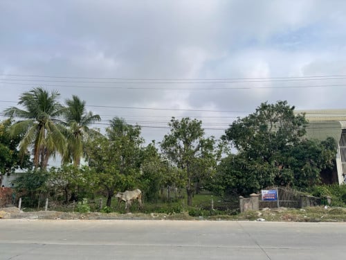 ដីលក់-ជួល​ ជាប់ផ្លូវលេខ130​ (ផ្លូវភ្នំបាសិត)