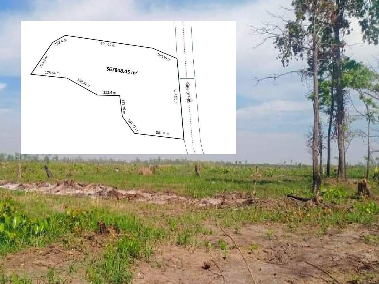 Land for Sale