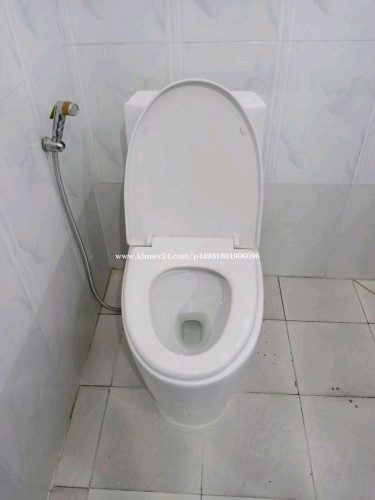 \u2611\ufe0ffix clogged toilets