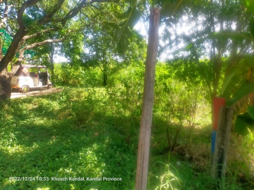 ដីលក់នៅកោះតូច