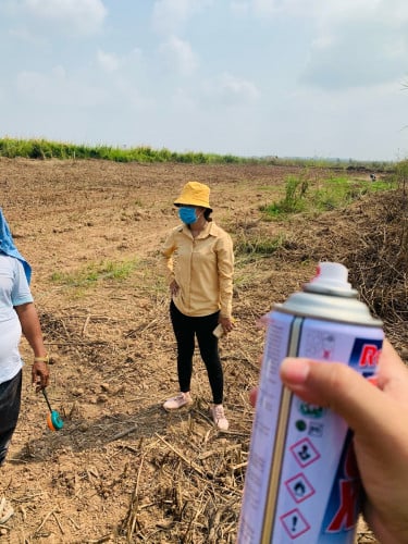 អរិយក្សត្រ ពាមអុកញ៉ាអុង ល្វាឯម លក់ធូរថ្លៃ