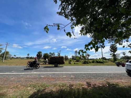 ដីលក់លើផ្លូវជាតិលេខ៥៣ ជ្រៃបាក់ កំពង់ឆ្នាំង