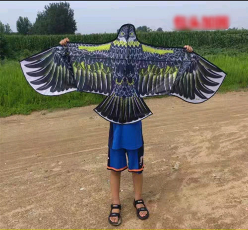 ខ្លែង+ខ្សែ 200m kites