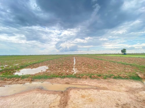 ដីលក់ហួសថ្នល់កែងបន្តិច  ម្ចាស់ផ្ទាល់