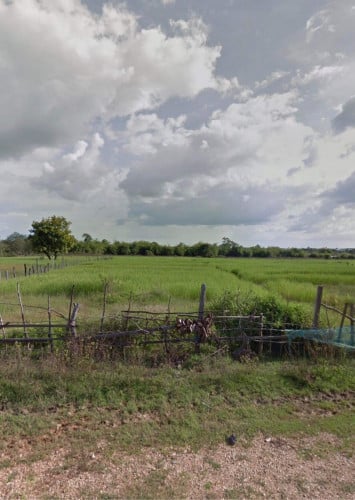 ដីលក់នៅខេត្តស្ទឹងត្រែង