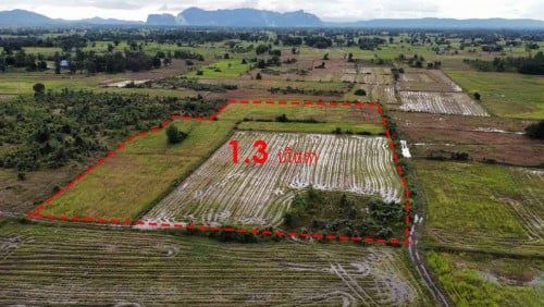 ដីស្រែរ រឺធ្វើចំការ