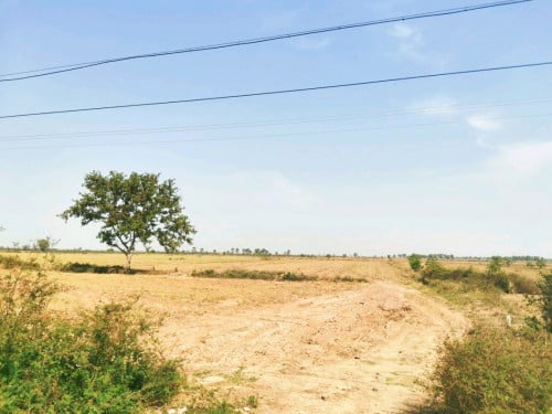 ដីលក់បន្ទាន់ជាប់ផ្លូវជាតិ 6A