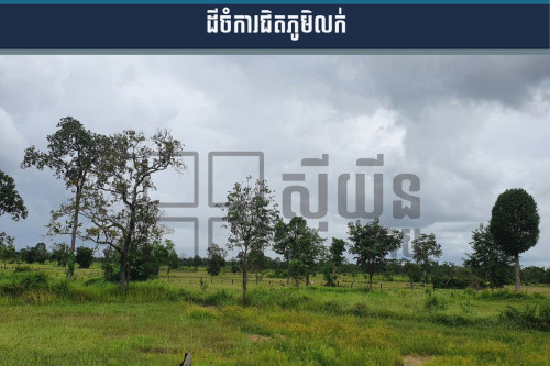 ដីចំការក្នុងភូមិស្រឡៅលក់បន្ទាន់