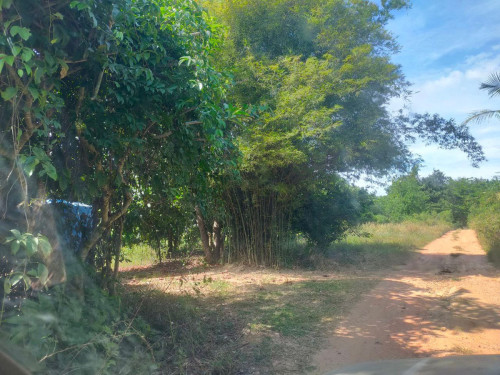 ដីសំរាប់លក់ ខេត្តកំពត(តំបន្តអភិវឌ្ឃន៍ ភ្នំវល្ល៍)