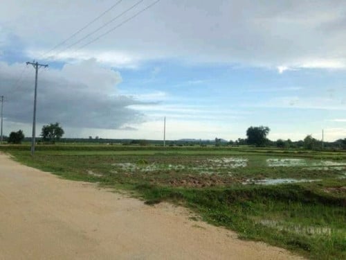 ដីលក់បន្ទាន់ ឬអាចដូចជាមួយឡាន