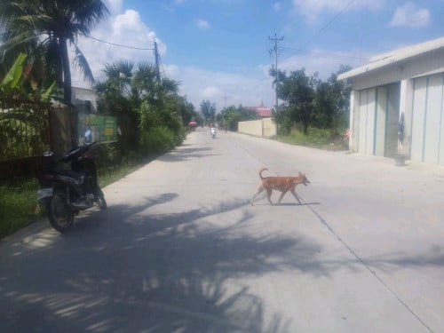 ដីលក់នៅវត្តគល់ទទឹង